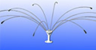 deterrentspiderkit2